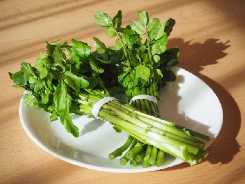 クレソンの食べ過ぎによる影響はある？一日の適量と注意点について